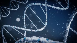 De oorzaak van ADHD heeft in belangrijke mate te maken met erfelijke en neurobiologische factoren.